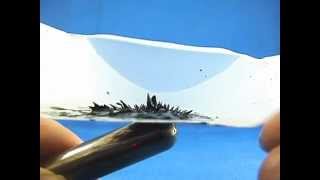 Synthesis of Aqueous Ferrofluid Glass Rod Variation [upl. by Fredric]