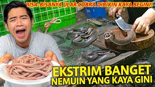 EKSTRIM BANGET ULAR COBRA DIMAKAN DAN DIMINUM DARAHNYA KOK ADA YA YANG KAYA BEGINI [upl. by Ahsercal]