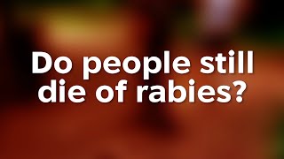 Do People Still Die of Rabies [upl. by Mya]