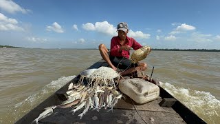 Tưởng không dính không ngờ dính quá nhiều Cá Út kho cà thưởng thức cùng anh em [upl. by Valina]