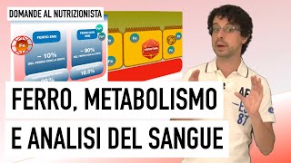 Ferro metabolismo e analisi del sangue [upl. by Tehcac]