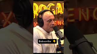 JRE Fight Companion 17 august 2024 jre companion podcast shorts joerogan [upl. by Richmond]