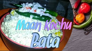 Maan Kochu Bata ll It is very easy and simple Recipe  pbvlogtravelandcoocking [upl. by Elumas468]