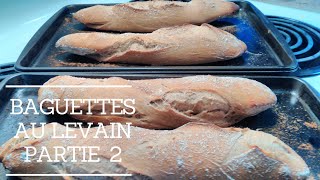 Baguettes au levain naturel part 2 [upl. by Eda]