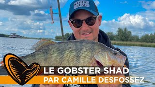 Le Gobster Shad Savage Gear un leurre souple étonnant [upl. by Brecher]