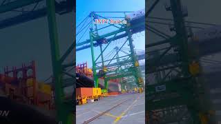 JNPT Port jnpt travel sea uran navimumbai mumbai viralshort shorts [upl. by Theron]