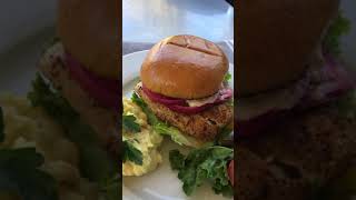 Grilled Grouper Sandwich Shorts [upl. by Obocaj]