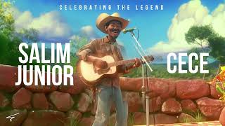 Salim Junior  Cece  Music Visualizer [upl. by Oruasi42]