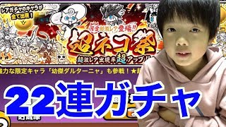 【にゃんこ大戦争】超ネコ祭！限定超激レア出現率がアップしただと！？11連ガチャ2連続！誕生日1万円企画【ロボットゲームズ】 [upl. by Ethelin51]