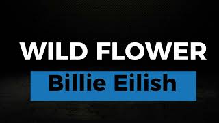 WILD FLOWER KARAOKE BILLIE EILISH [upl. by Wrigley]