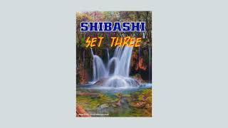 SHIBASHI Qigong  Set Number 3 [upl. by Rennat]