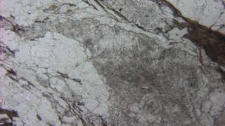 Gneiss au microscope polarisant LPNA [upl. by Catha459]