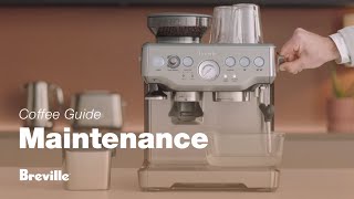 The Barista Express®  Our tutorial on how to descale your espresso machine  Breville USA [upl. by Gascony]