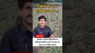 🔴 तातडीचा मॅसेज  पंजाब डख लाईव्ह  panjab dakh live  shetkari farmingpanjabdakh [upl. by Auqinet]