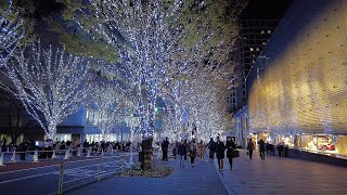 Tokyo Night Walk🚶Roppongi Hills🎄SNOWampBLUE lights and Tokyo Tower🗼Keyakizaka Illumination✨Christmas [upl. by Inoek]