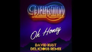 DELEGATION  Oh Honey David Kust Delicious Remix [upl. by Analem]