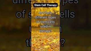 Are there different types of stem cells used in therapy [upl. by Eraste10]