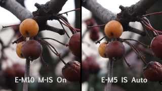 Olympus OMD EM10 vs OMD EM5 3axis stabilisation compared [upl. by Christis]