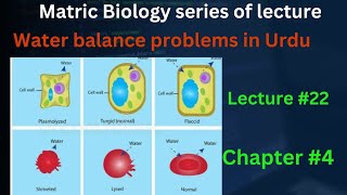 water balance problem class 9 Biology Lec in Urdu in Hindi  Lec 22  chp 4  cells and tissues [upl. by Atsyrt474]