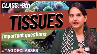 CLASS9th Biology  Important tissues questions  Most important topic [upl. by Alansen]