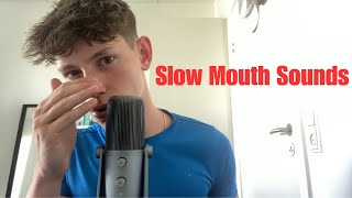 ASMR Slow And Clicky Mouth Sounds 100 sensitivity [upl. by Osgood903]