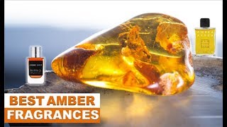 Top 10 Best Amber Fragrances  Ambers For Everyone [upl. by Beverlee]