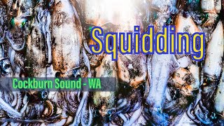 Squidding  Cockburn Sound WA [upl. by Naniac927]