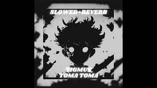 Tigmus  Toma Toma Brazilian Phonk Slowed  Reverb [upl. by Aerdnahc]