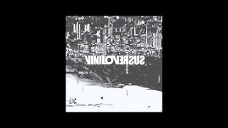 Viniloversus  2013 [upl. by Johnstone]