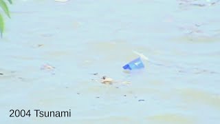 2004 Tsunami  Survivors Story with footage [upl. by Walcoff]