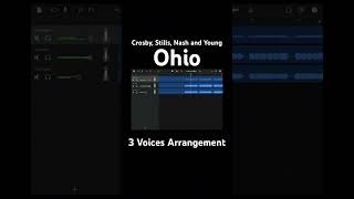 Ohio  Crosby Stills Nash and Young Vocal Harmony [upl. by Robena]