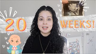 20 WEEK PREGNANCY UPDATE ANATOMY SCAN BELLY BUMP UPDATE PHYSICAL amp MENTAL HEALTH DURING PREGNANCY [upl. by Kristi]