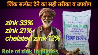 zink sulphate fertilizer 2133  chelated EDTA zink 12 ko dene ka sahi tarika  upyog [upl. by Leakcim]