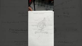 How to make compound microscope diagram [upl. by Rahr]