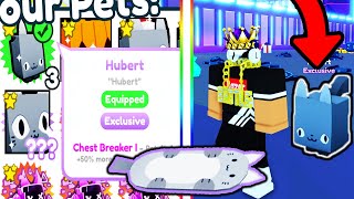 How To Get HUBERT CAT in Pet Simulator X Roblox [upl. by Blumenthal598]