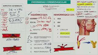 Neurología  Enfermedad cerebrovascular [upl. by Dahlstrom270]