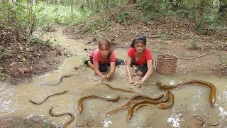 Survival in the rainforest Many Eel in the rainforest Eel soup chili tasty for survival food [upl. by Gustavus]