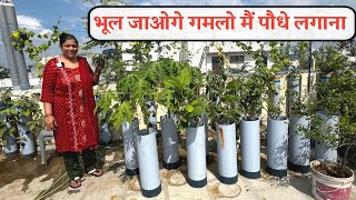 खेत नहीं मिला तो PVC PIPE में खेत जितनी सब्जी उगा रही हूं भूल जाओ गे गमलो मैं पौधे लगाना [upl. by Isia287]