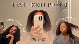 Texturized my 4C Hair  1 Year Update Had to do a Big Chop Lessons amp Regrets  BeeSaddity TV [upl. by Ria]