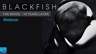 Blackfish Movie  10 Years Later Much Has Changed  More to Go [upl. by Ordnas]