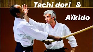 Aikido  Tachidori  kata dori men uchi by Bruno Gonzalez [upl. by Arakat22]