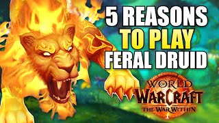 Top 5 Reasons To Play Feral Druid In WoW The War Within [upl. by Aneekas197]