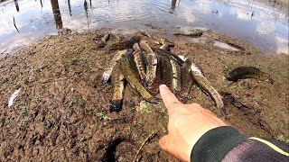 com essa TECNICA e essa ISCA peguei MUITO PEIXE em POUCO TEMPOpescaria [upl. by Aicilet]