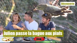 Julien met la bague à la pattedes oiseaux [upl. by Nylatsirk]