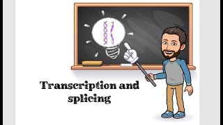 DNA TRANSCRIPTION AND SPLICING EASY UNDERSTANDING [upl. by Ahel755]