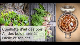 Cueillette dail des bois et recette dail marinée  Pickled Wild Ramp [upl. by Bale]