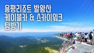 용평리조트 발왕산 🚠케이블카 amp 스카이워크 탐방기 🇰🇷Yongpyong Resort Balwangsan Cable Car amp Skywalk Vlog [upl. by Euqinorev349]