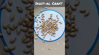 Make a Beautiful Drawing Using Seeds diycrafts youtubeshorts [upl. by Rennane]