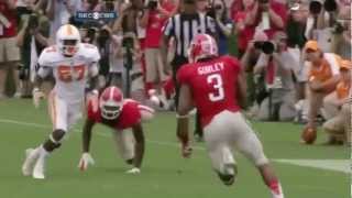 Todd Gurley College Football Highlights HD [upl. by Seebeck935]