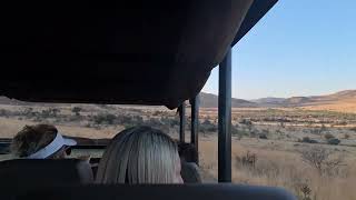 Pilanesberg game drive [upl. by Ashbey]